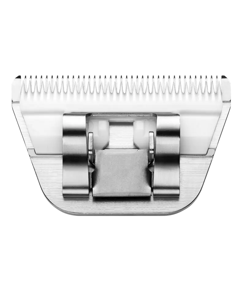 10W Blade