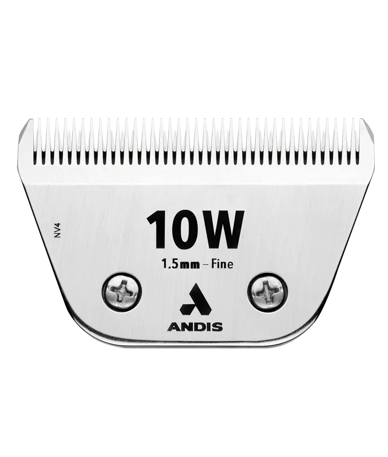 10W Blade
