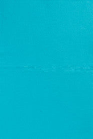 Chamois (Blue)