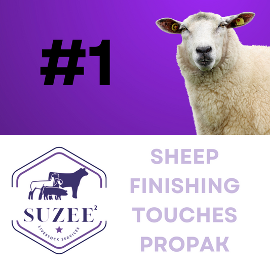 Sheep Finishing Touches ProPak Option 1