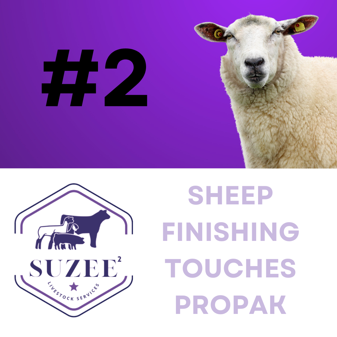 Sheep Finishing Touches ProPak Option 2