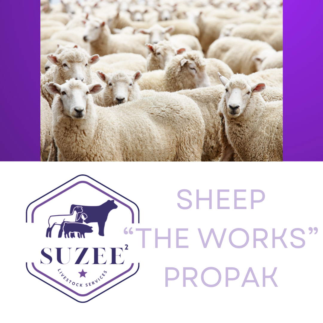 Sheep "The Works" ProPak