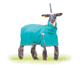 Procool Sheep Blanket