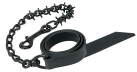 Pronged Lead Chain