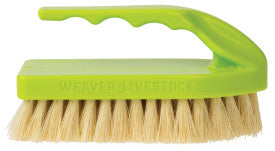 Tampico Pig Brush With Handle