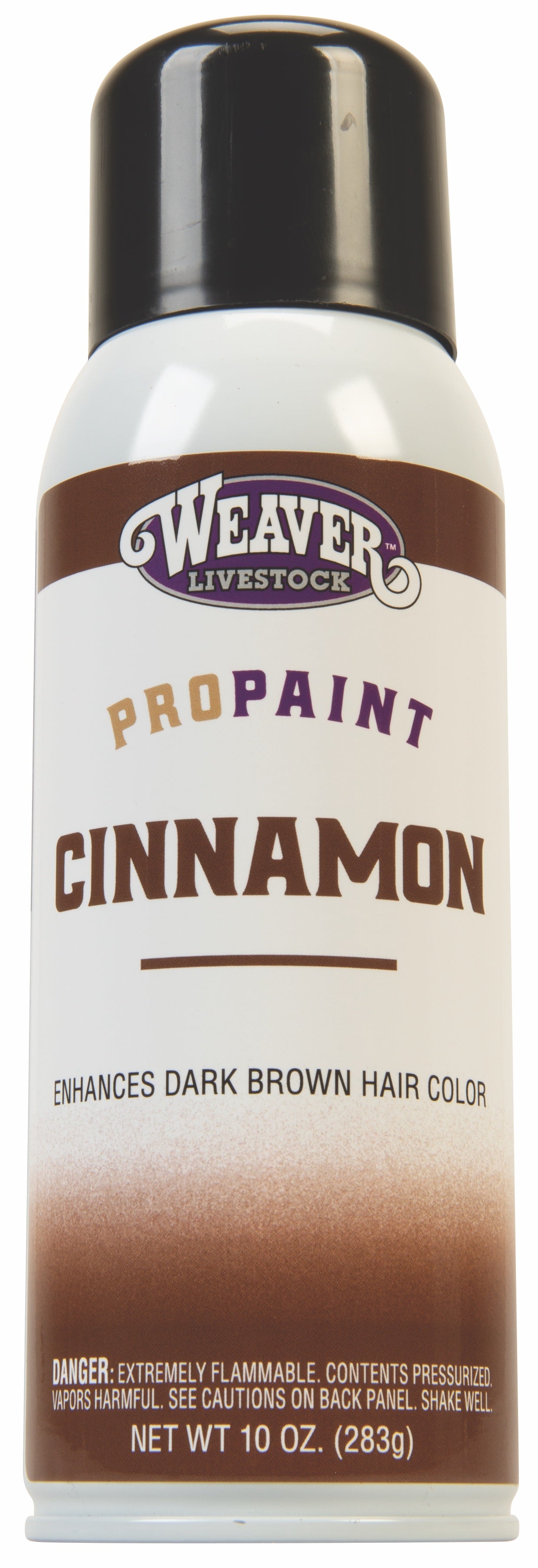 Pro-Touch Cinnamon Paint