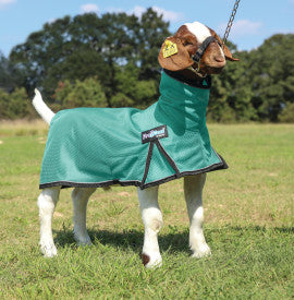 ProCool Goat Blanket with Reflective Piping
