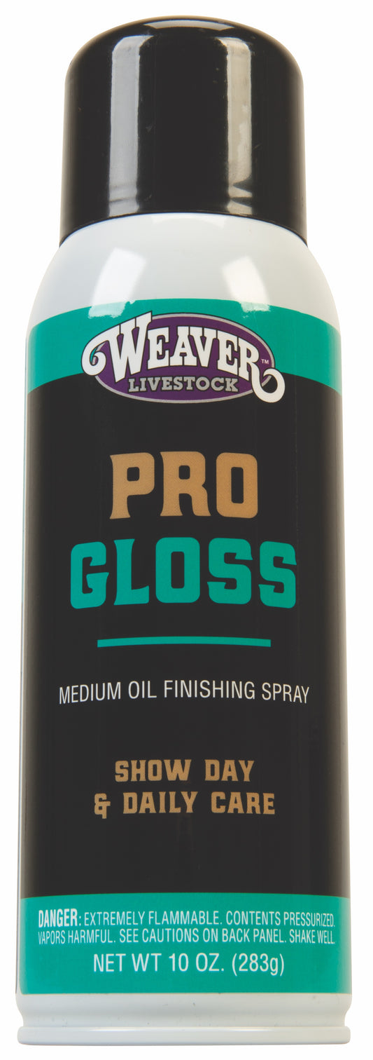 PROGLOSS FINISHING SPRAY