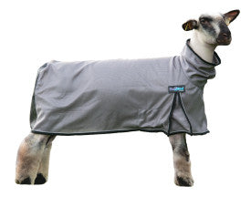 PROCOOL SHEEP BLANKET