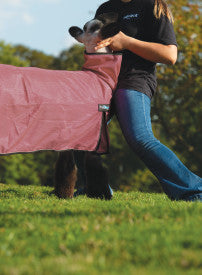 PROCOOL SHEEP BLANKET