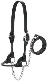 SHOW HALTER, BLACK, ROUNDED, SILVER CHAIN